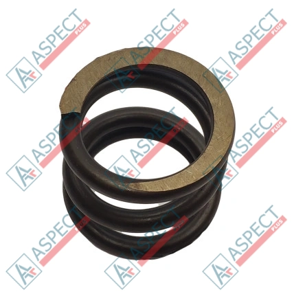 Feder des Rotors Bosch Rexroth R909436102 SKS