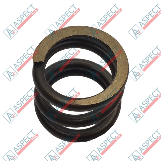 Spring of Rotor Bosch Rexroth R909436102 SKS