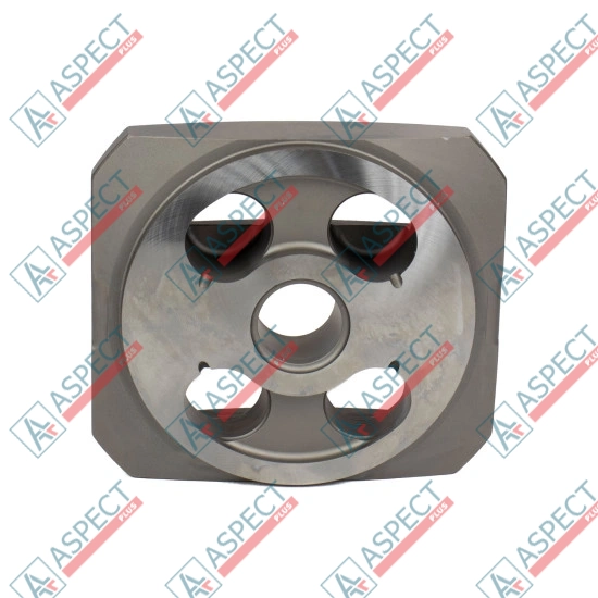 Valve plate Motor Bosch Rexroth R909921791 SKS