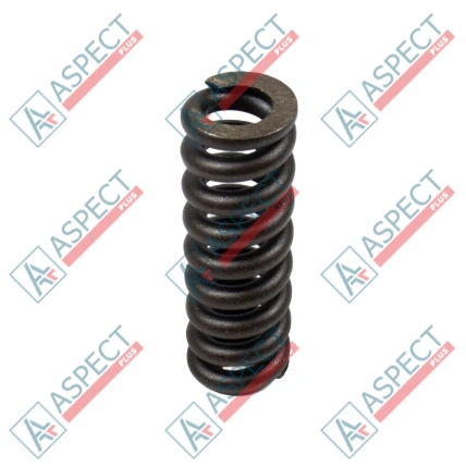 Ressort de l`axe central Bosch Rexroth R909921541 SKS