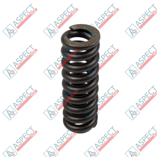 Spring for Center Pin Bosch Rexroth R909921541 SKS
