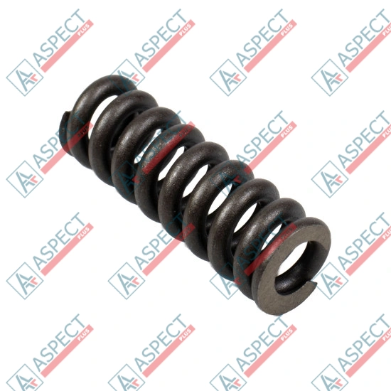 Spring for Center Pin Bosch Rexroth R909921541 SKS