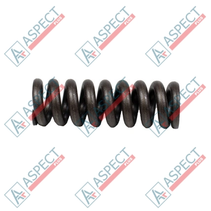 Ressort de l`axe central Bosch Rexroth R909921541 SKS