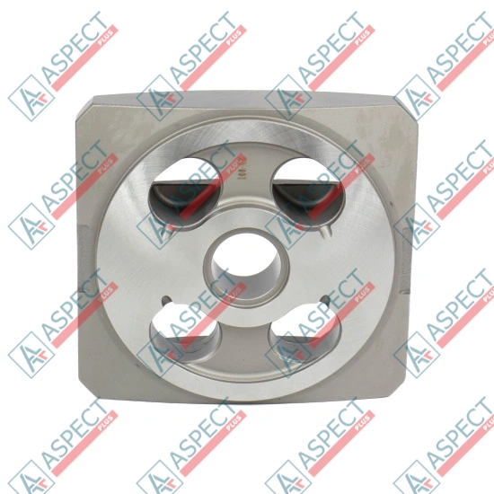 Valve plate Motor Bosch Rexroth R909921790 SKS