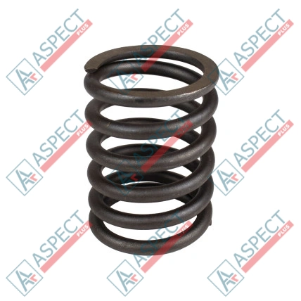 Muelle del rotor Nabtesco XKAH-00406 SKS