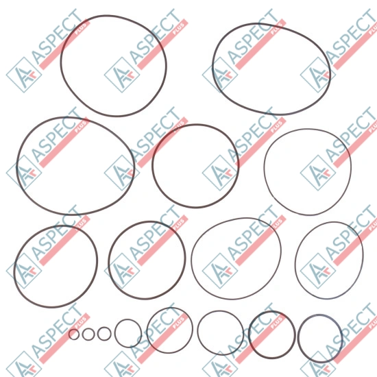 Seal kit pump Sauer-danfoss 11095648 SKS