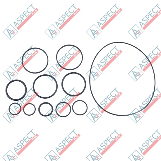 Seal kit pump Sauer-danfoss 11095648 SKS