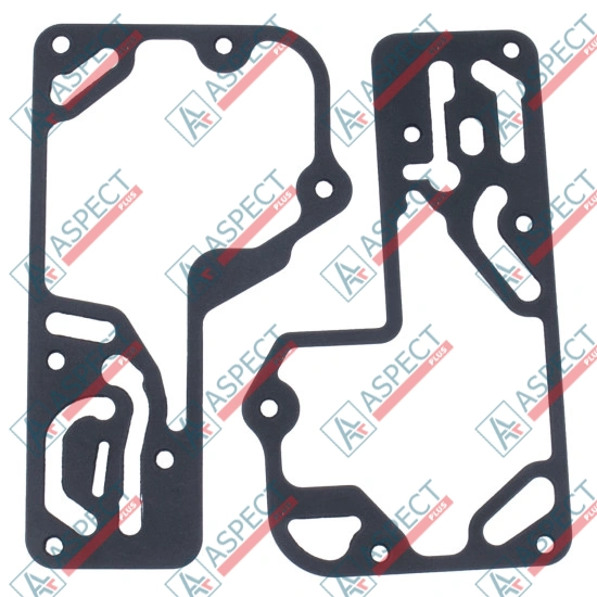 Seal kit pump Sauer-danfoss 11095648 SKS