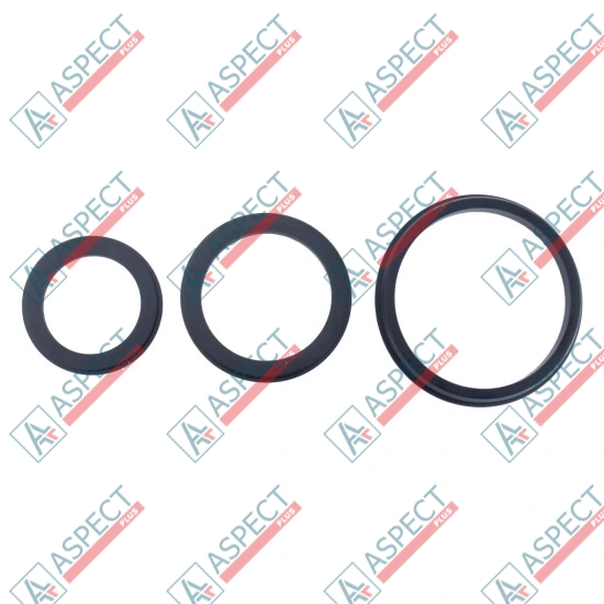 Seal kit pump Sauer-danfoss 11095648 SKS