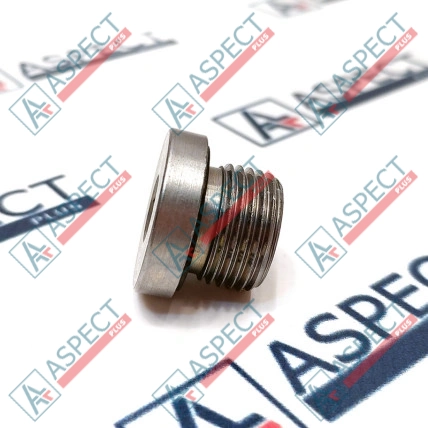Vis Bosch Rexroth R909153815 Pièce OE
