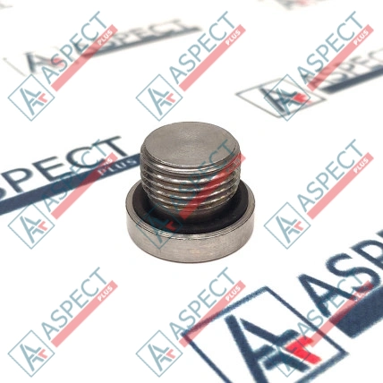 Vis Bosch Rexroth R909153815 Pièce OE