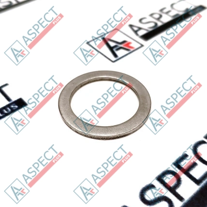 Arandela Bosch Rexroth R909922004 Pieza OE