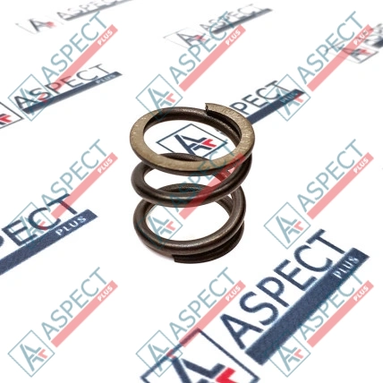 Ressort du rotor Bosch Rexroth R909921997 Pièce OE