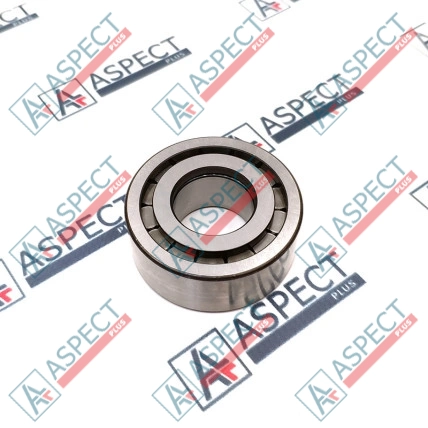 Roulement à rouleaux Bosch Rexroth R909156605 Pièce OE