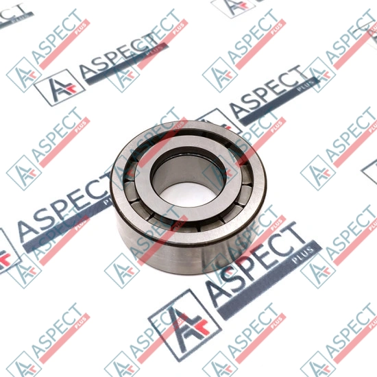 Roller Bearing Bosch Rexroth R909156605 Genuine