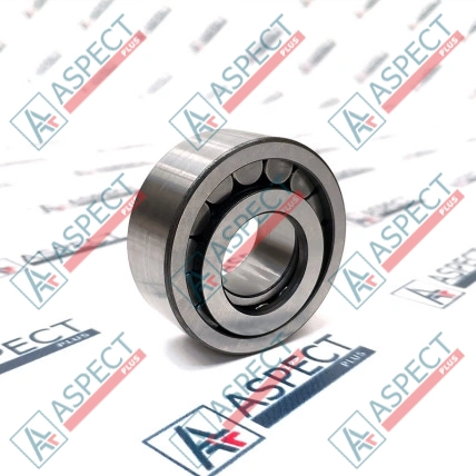 Roulement à rouleaux Bosch Rexroth R909156605 Pièce OE