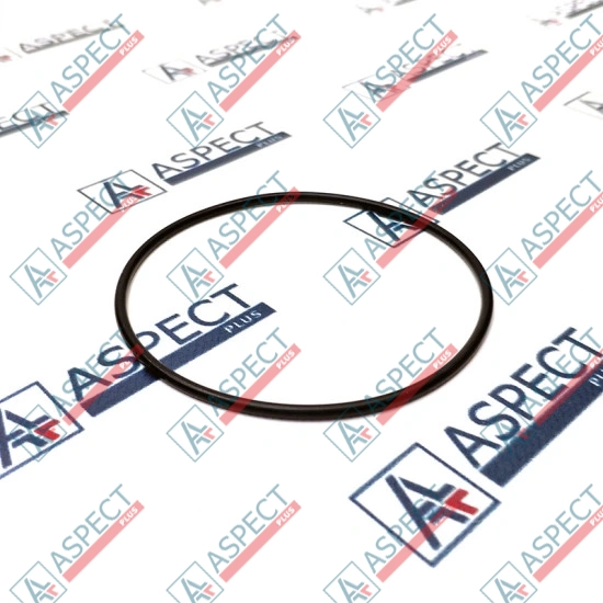 O-Ring Bosch Rexroth R909083790 Genuine