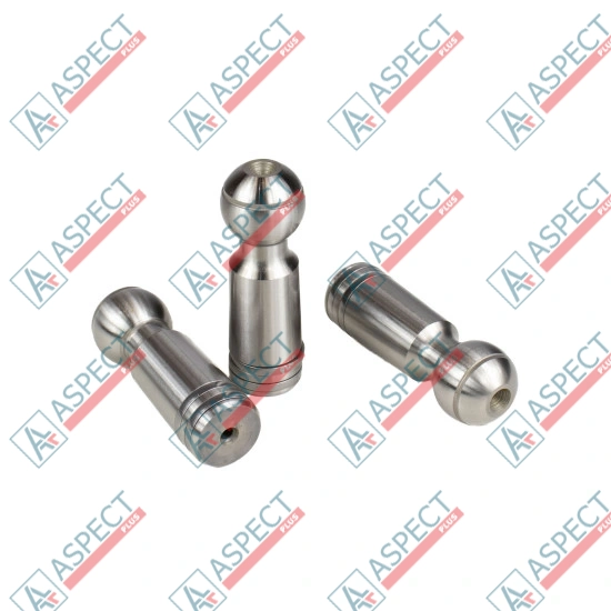 Piston Bosch Rexroth R902021900 SKS