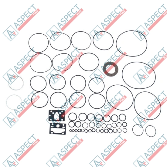 Seal kit pump full Bosch Rexroth R987054641 SKS