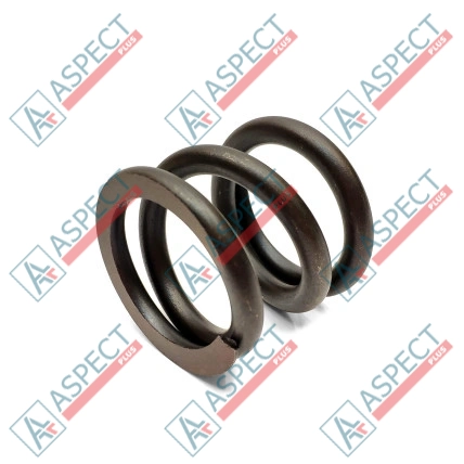 Spring of Rotor Bosch Rexroth R909435254 SKS