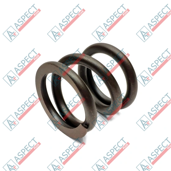 Spring of Rotor Bosch Rexroth R909435254 SKS