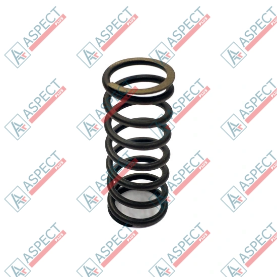 Bias Spring Bosch Rexroth R902418549 SKS