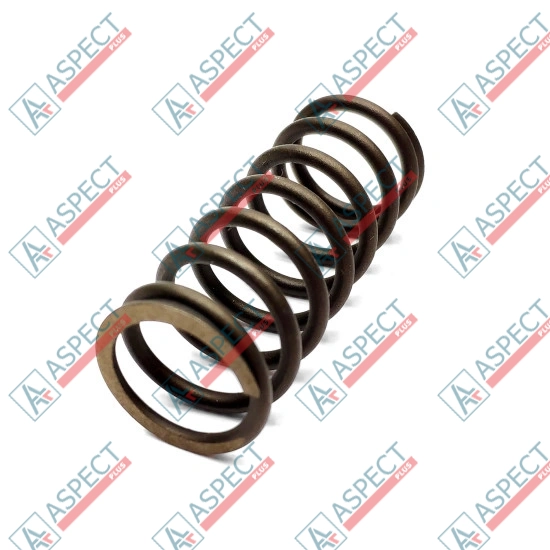 Bias Spring Bosch Rexroth R902418549 SKS