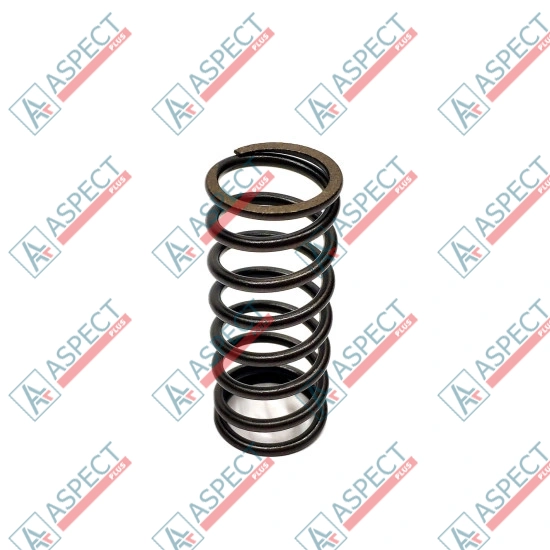 Bias Spring Bosch Rexroth R910928606 SKS