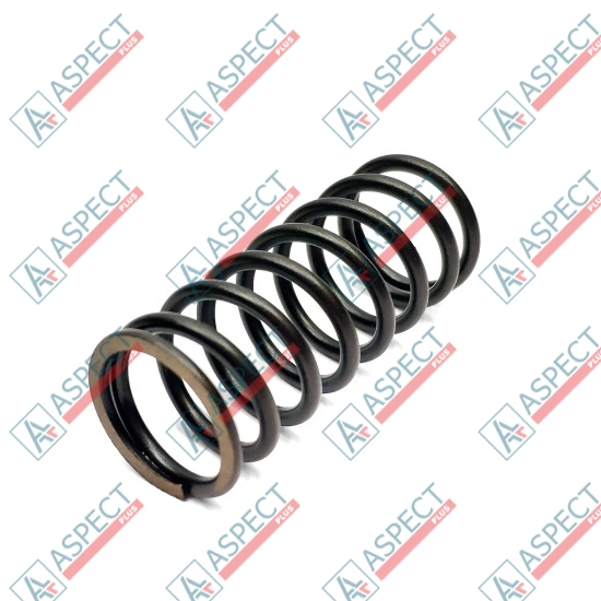 Bias Spring Bosch Rexroth R910928606 SKS