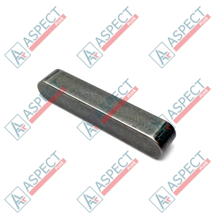 Clé Bosch Rexroth A10VSO45, A10VO45 SKS