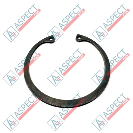 Anneau d`arrêt Bosch Rexroth R910918189 SKS