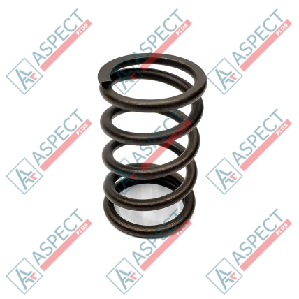 Primăvara rotorului Bosch Rexroth R902400732 SKS