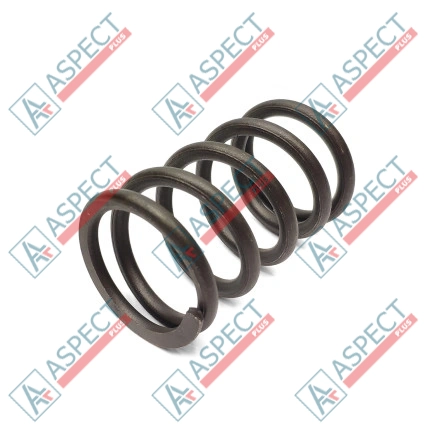Primăvara rotorului Bosch Rexroth R902400732 SKS