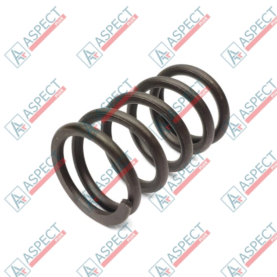 Spring of Rotor Bosch Rexroth R902400732 SKS
