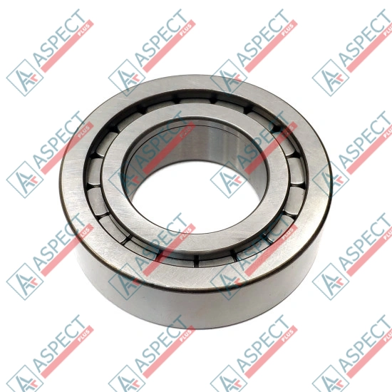 Roller Bearing Bosch Rexroth R909831206 SKS