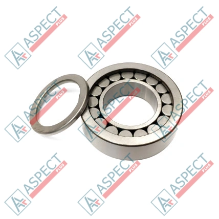 Roulement à rouleaux Bosch Rexroth R909831206 SKS
