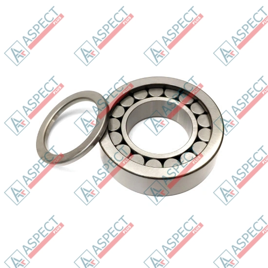 Roller Bearing Bosch Rexroth R909831206 SKS