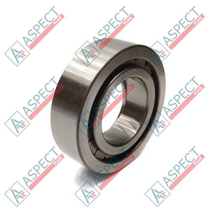 Roulement à rouleaux Bosch Rexroth R909831206 SKS
