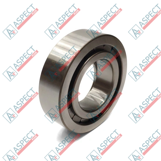 Roller Bearing Bosch Rexroth R909831206 SKS