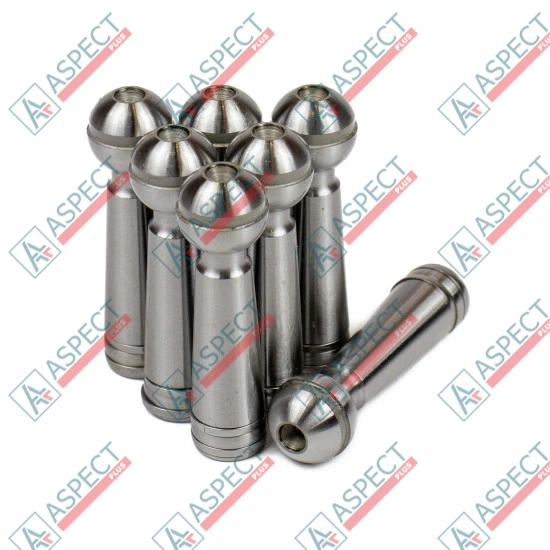 Piston Bosch Rexroth R902021919 SKS