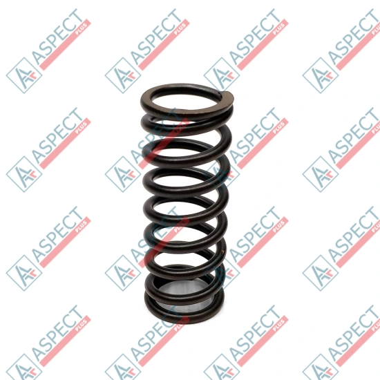 Bias Spring Bosch Rexroth R902422349 SKS