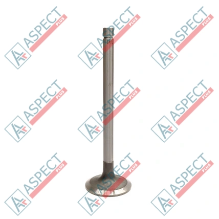 Valve Set (Exhaust and Inlet) Ricardo (12536) R4105IZD AFM