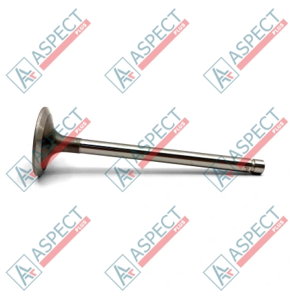 Valve Set (Exhaust and Inlet) Ricardo (12536) R4105IZD AFM