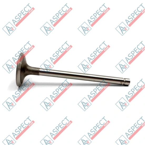 Valve Set (Exhaust and Inlet) Ricardo (12536) R4105IZD AFM
