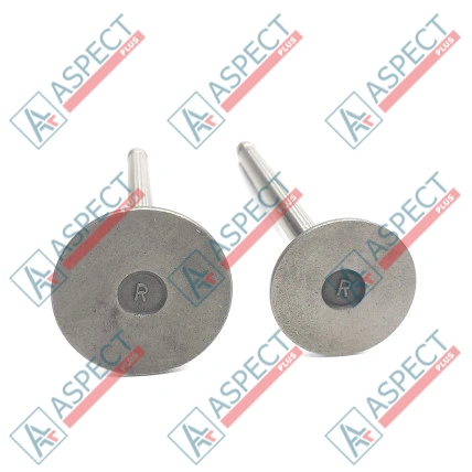Valve Set (Exhaust and Inlet) Ricardo (12536) R4105IZD AFM