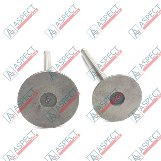 Valve Set (Exhaust and Inlet) Ricardo (12536) R4105IZD AFM