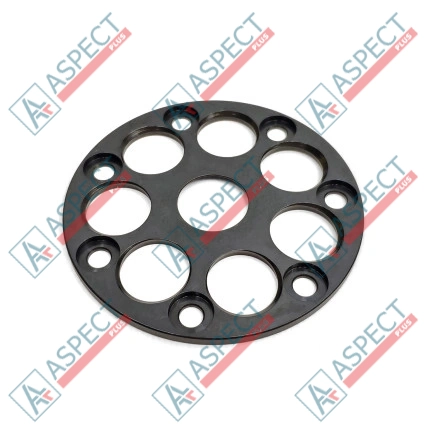 Placă de reținere Bosch Rexroth R909440124 SKS