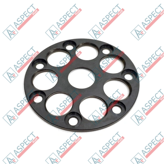Retainer Plate Bosch Rexroth R909440124 SKS