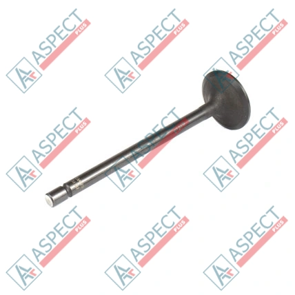 Entrée de la vanne Isuzu (8943958820) 4HK1, 6HK1 Hitachi, JCB Mahle