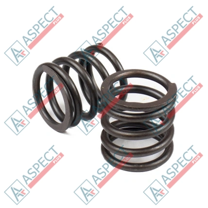 Feder des Rotors Kayaba 0411405 SKS